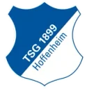 Hoffenheim logo